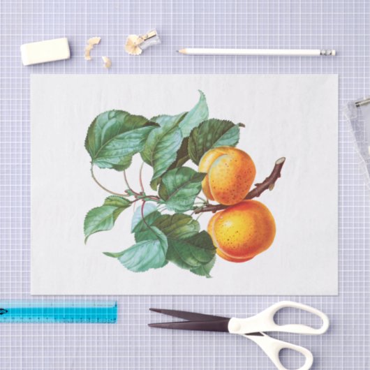 Peaches an einer Zweigniederlassung Seidenpapier (Handwerk)