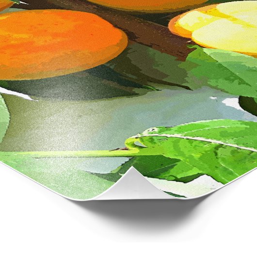 PEACHES FOTODRUCK (Ecke)