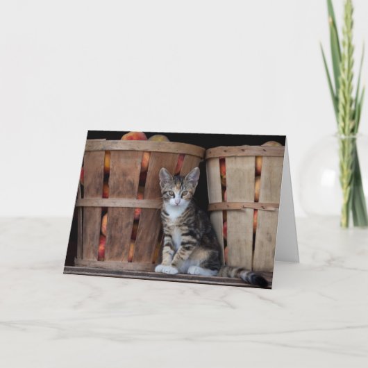 Peaches Kitten zum Muttertag Karte (Vorderseite)