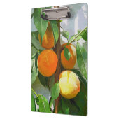 PEACHES KLEMMBRETT (Links)