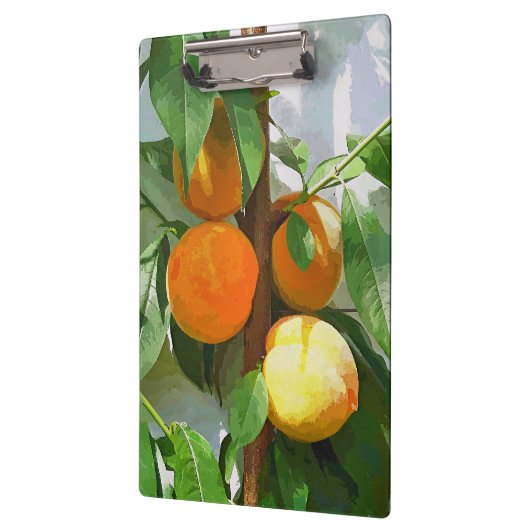 PEACHES KLEMMBRETT (Links)