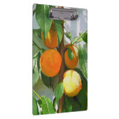 PEACHES KLEMMBRETT (Rechts)