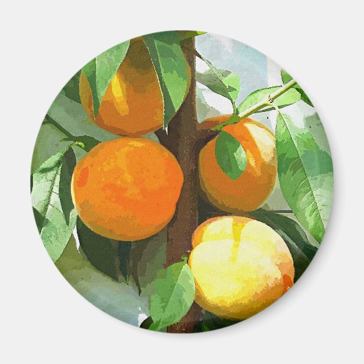 PEACHES MAGNET (Vorne)