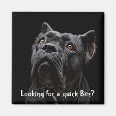 Peaches Magnet (Vorne)