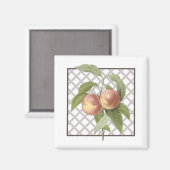 PEACHES MAGNET (Vorderseite/Rückseite)