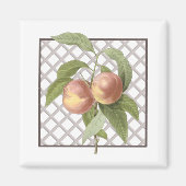 PEACHES MAGNET (Vorne)