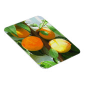 PEACHES MAGNET (Rechte Seite)