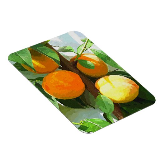 PEACHES MAGNET (Rechte Seite)