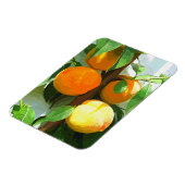 PEACHES MAGNET (Linke Seite)