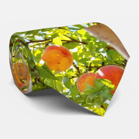 Peaches mf krawatte (Gerollt)