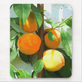PEACHES MOUSEPAD (Vorne)