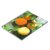 PEACHES NOTIZBLOCK (Linke Seite)