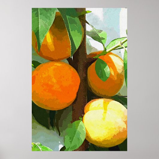 PEACHES POSTER (Vorne)