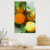 PEACHES POSTER (Küche)