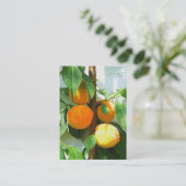 PEACHES VISITENKARTE (Stehend Vorderseite)