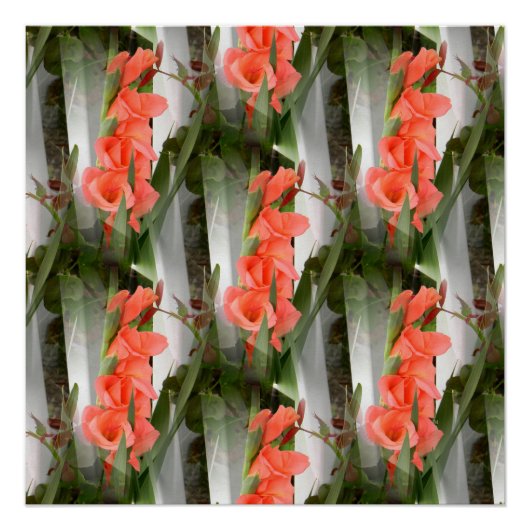 Peachiness.... Poster (Vorderseite)