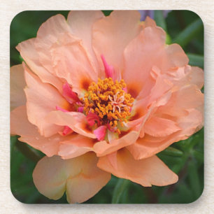 Peachy Blume Untersetzer