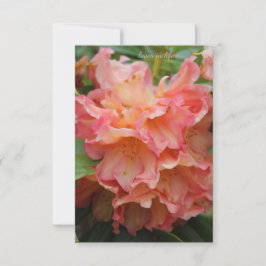 Peachy Colored Rhododendron Mitteilungskarte