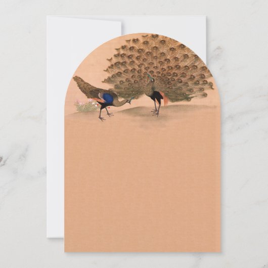 Peachy Coral Peacock Einladungen für Hochzeiten (Rückseite)