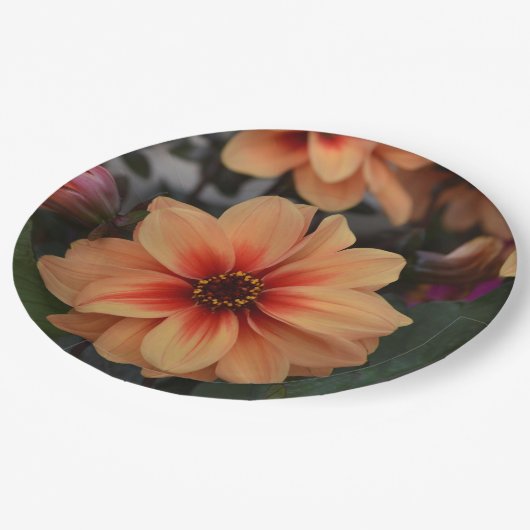 Peachy Floral Paper Plate Pappteller (Schrägansicht)