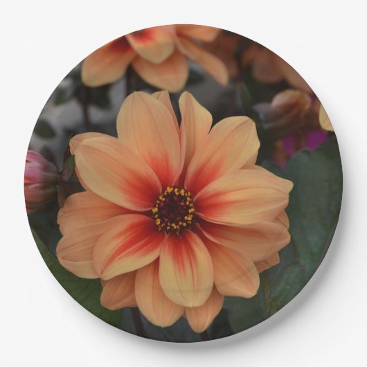 Peachy Floral Paper Plate Pappteller (Vorderseite)