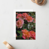 Peachy, lachsfarbene Rose Mitteilungskarte (Vorderseite/Rückseite Beispiel)