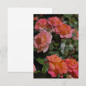 Peachy, lachsfarbene Rose Mitteilungskarte (Vorne/Hinten)