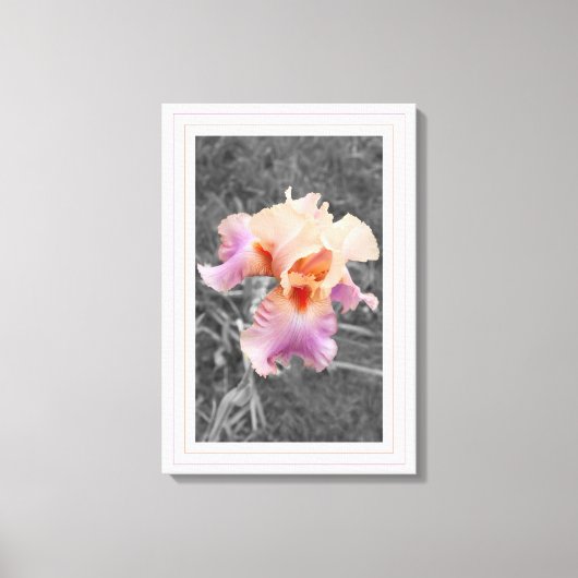 Peachy Lila Leinwanddruck (Vorderseite)