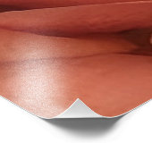Peachy Mini Rose Fotodruck (Ecke)