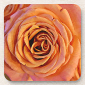 Peachy Orange Rose Art Untersetzer Set (Vorderseite)