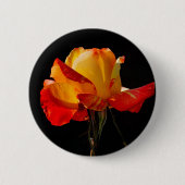 Peachy Orange Rose Button (Vorderseite)