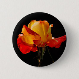 Peachy Orange Rose Button