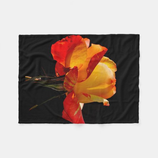 Peachy Orange Rose Fleecedecke (Vorderseite (Horizontal))
