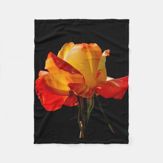 Peachy Orange Rose Fleecedecke (Vorderseite)