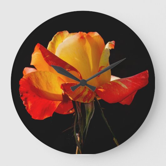 Peachy Orange Rose Große Wanduhr (Vorderseite)