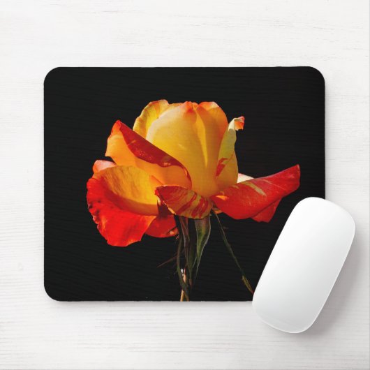 Peachy Orange Rose Mousepad (Mit Mouse)
