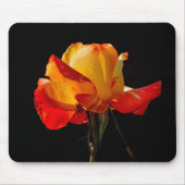 Peachy Orange Rose Mousepad (Vorne)