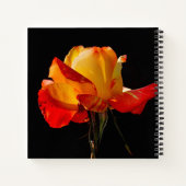Peachy Orange Rose Notizblock (Rückseite)