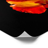 Peachy Orange Rose Poster (Ecke)