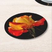 Peachy Orange Rose Runder Pappuntersetzer (Angewinkelt)