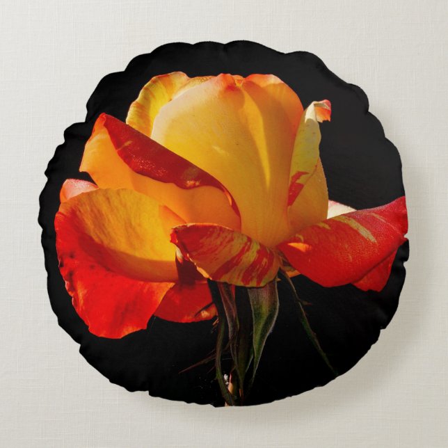 Peachy Orange Rose Rundes Kissen (Vorderseite)