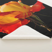 Peachy Orange Rose Sherpadecke (3/4)