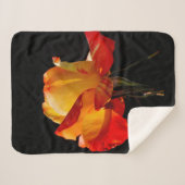 Peachy Orange Rose Sherpadecke (Vorderseite (Horizontal))