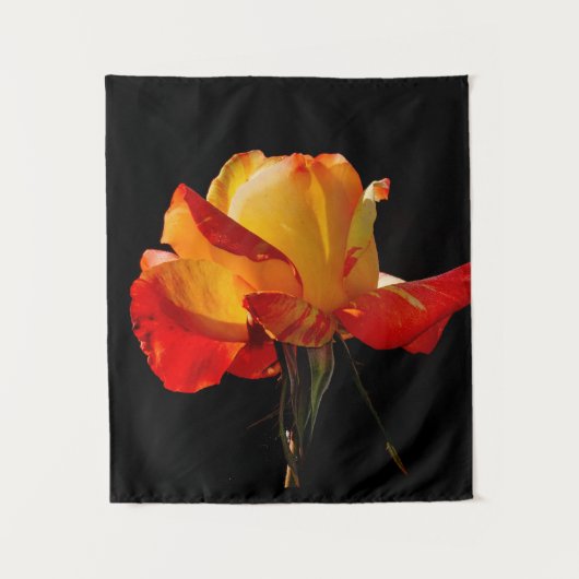 Peachy Orange Rose Wandteppich (Vorderseite)