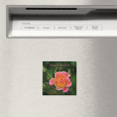 Peachy Pink Wedding Rose Magnet (In Situ (Geschirrspüler))