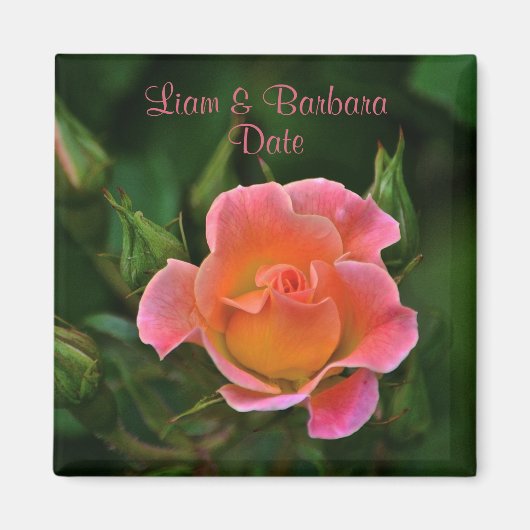 Peachy Pink Wedding Rose Magnet (Vorne)