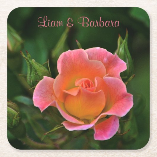 Peachy Pink Wedding Rose Rechteckiger Pappuntersetzer (Vorderseite)
