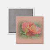 Peachy Rose Blossom Magnet (Vorderseite/Rückseite)