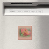 Peachy Rose Blossom Magnet (In Situ (Geschirrspüler))