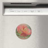 Peachy Rose Blossom Magnet (In Situ (Geschirrspüler))